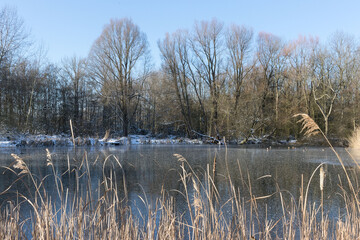 Frozen lake in the woods on a sunny day