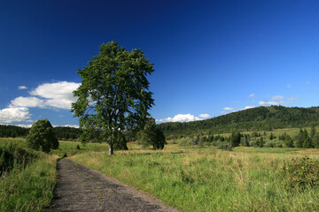 Fototapeta premium Landscape of Beniowa - former, abandoned village in Bieszczady Mountains in Poland
