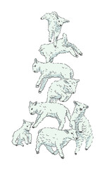 Fototapeta na wymiar Cute jumping sheep set. Farm animals. Vector illustration
