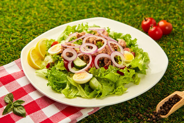 Tuna Fish Salad with Lettuce, Cherry Tomatoes, Cucumber and Onion on green grass background. Italian or Mediterranean cuisine