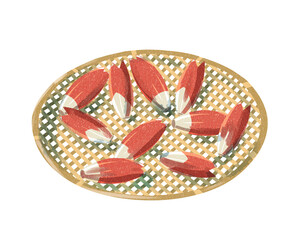 みょうが　ざる　水彩風