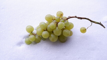 A green bunch of grapes lies on the snow. Ripe grapes