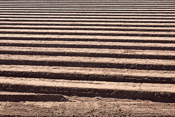 Mediterranean orchard prepared for sowing