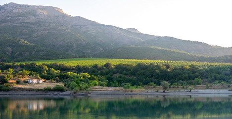 Fototapeta na wymiar Vineyards surrounded by rocky mountains in the early morning next to a mountain lake.