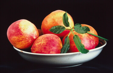 VINTAGE 1980's photo of a bowl of peaches shot on 35mm film