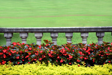 Balistrade Landscaping at Overton Park Memphis