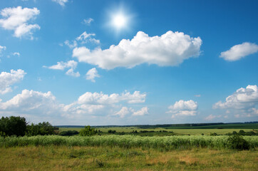 green meadow and blue sky with clouds in summer