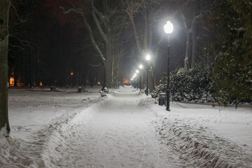Park Dworski w Iłowej w zimową noc. © boguslavus