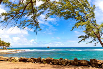 Ein Felsen, bei Pigeon Island Beach, tropische Küste auf der karibischen Insel St. Lucia. Es ist...