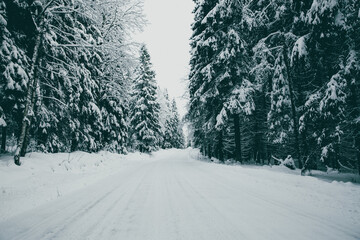 Winter landscape in lapland finland.