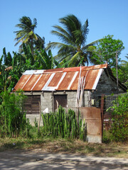 Fototapeta na wymiar petite maison avec toit en tôle au village de Punta Alegre, Chambas, Cuba