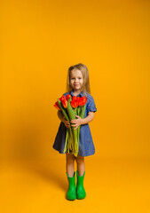 little blonde girl in a blue denim dress and rubber boots stands with a bouquet of red tulips on a yellow background with space for text. International women's day