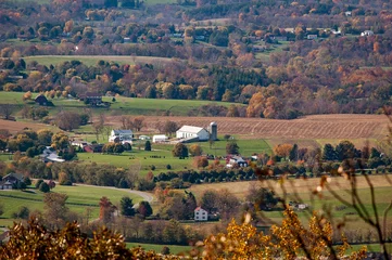 Fall Colors in Frederick, Maryland