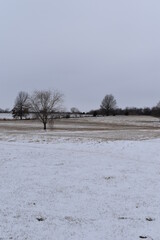 Snowy Field