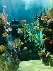 hay belleza debajo de la superficie