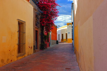 Callejón de Queretaro 