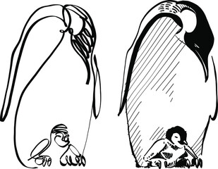 penguin on the beach