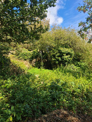Guernsey Channel Islands, Petit Bot Bay Cliff Paths