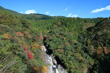 Fototapeta na wymiar 日本の滝百選　轟の滝　秋　（高知県）