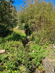 Guernsey Channel Islands, Petit Bot Bay Cliff Paths