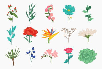 Obraz premium Collection of spring and summer flowers peony, chamomile, rose, sakura, magnolia, leaves, romantic floral elements.