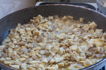 Finely chopped oyster mushrooms are cooked in a pan. false kokore in a pan with oyster mushrooms, Pleurotus ostreatus.