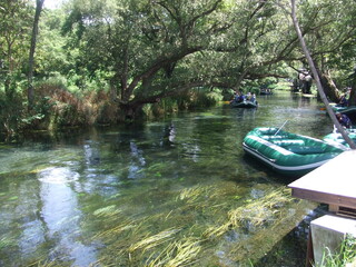 日本の長野県・大王わさび農場の川遊び