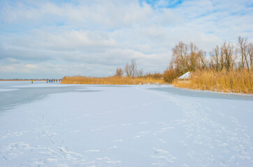 Ice skating on a white frozen lake in wetland in winter, Almere, Flevoland, The Netherlands, February 10, 2020