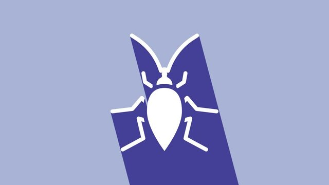 White Cockroach icon isolated on purple background. 4K Video motion graphic animation