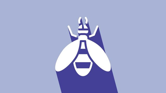 White Bee icon isolated on purple background. Sweet natural food. Honeybee or apis with wings symbol. Flying insect. 4K Video motion graphic animation