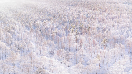 White winter snow covered mixed forest aerial panoramic view at sunset
