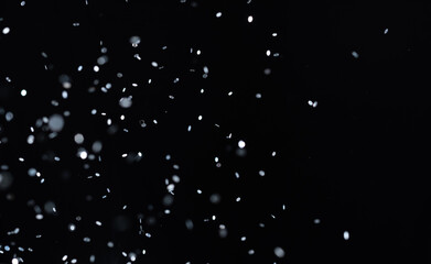 Obraz premium Glitter Bomb