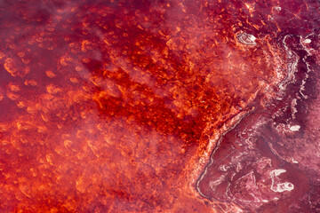 Africa, Tanzania, Aerial view of patterns of red algae and salt formations in shallow salt waters...