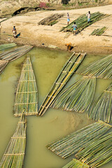 Transporting bamboo timber on the river, Chittagong Division, Bangladesh