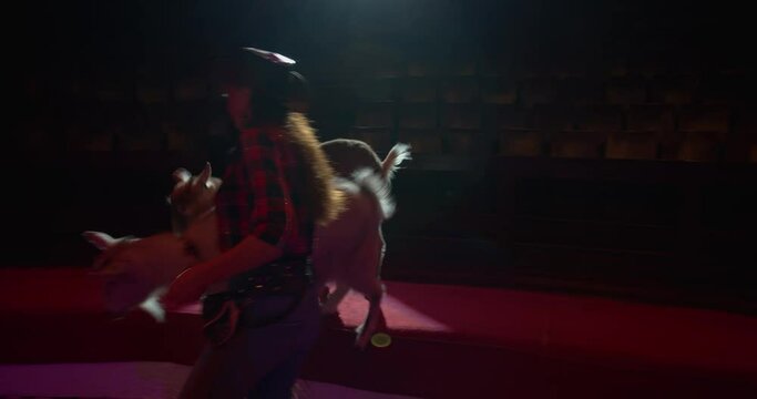 Circus performance, trainer dressed in cowgirl outfit is walking with two goats