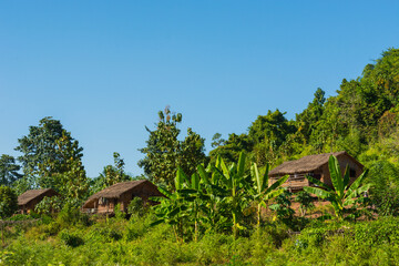 Myanmar. Shan State. Near Kalaw. Green Hill Valley Elephant Camp. Traditional Burmese house nestled against the forest.