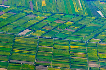 Aerial view of farmland, Xinjiang Province, China