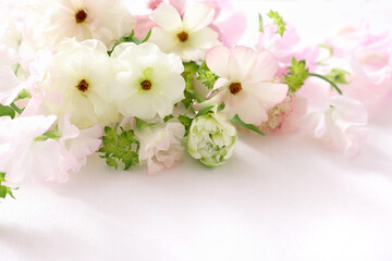 Beautiful spring bouquet of white ranunculus flowers on white background . Valentine or mothers day concept.