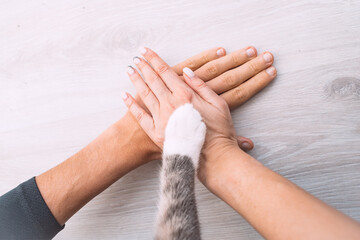 Couple or family hands and cat paw on the top. Human and the animal connection. People and pets friendship, togetherness and trust concept - obrazy, fototapety, plakaty