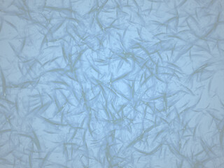 abstract grunge stripes stripe scratches scratch texture background bg wallpaper art paint stone wall 