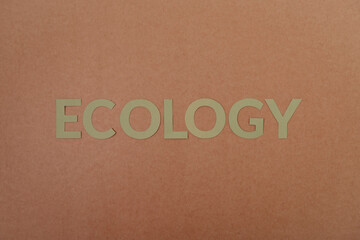 Ecology cardboard letters on a craft paper