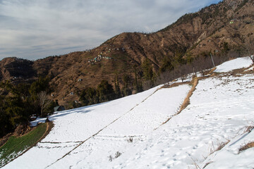Snowfall and Snow Days. Sundarnagar , Himachal Pradesh, INDIA