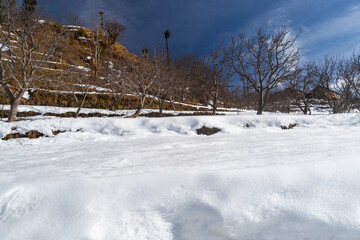 Snowfall and Snow Days. Sundarnagar , Himachal Pradesh, INDIA