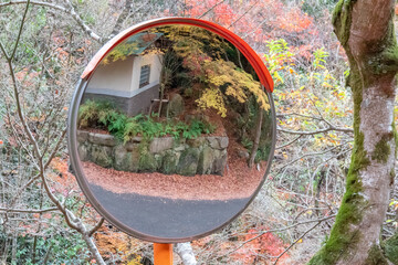 紅葉を映した自然の中のカーブミラー　The convex traffic mirror in the woods