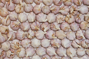Pile of the fresh bulb garlic on white background. Top view.
