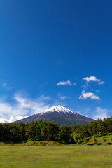 Fototapeta premium 富士山。晴天。穴場スポットからの撮影。