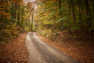 Obraz premium Rock Run Road, McIntyre Wild Area, Ralston, Lycoming County Pennsylvania, USA