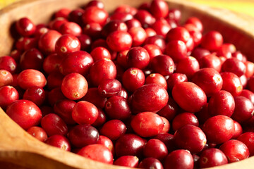 A bowl of fresh cranberries
