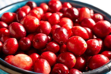 A bowl of fresh cranberries