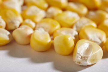 Kernels of dried dent corn